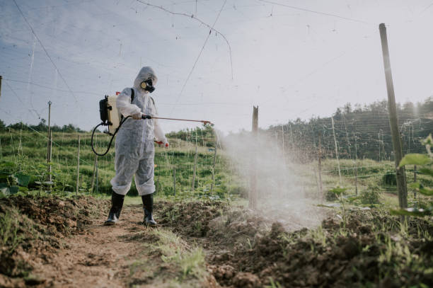 Best Local Pest Control Services  in Rkesburg, PA