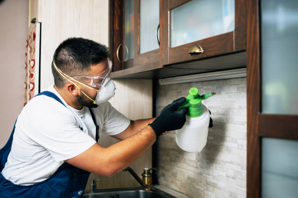 Best Pest Removal Services  in Rkesburg, PA