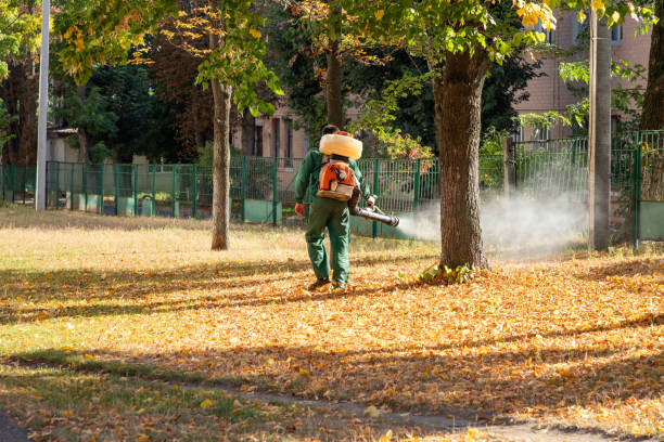 Best Bird Control  in Rkesburg, PA