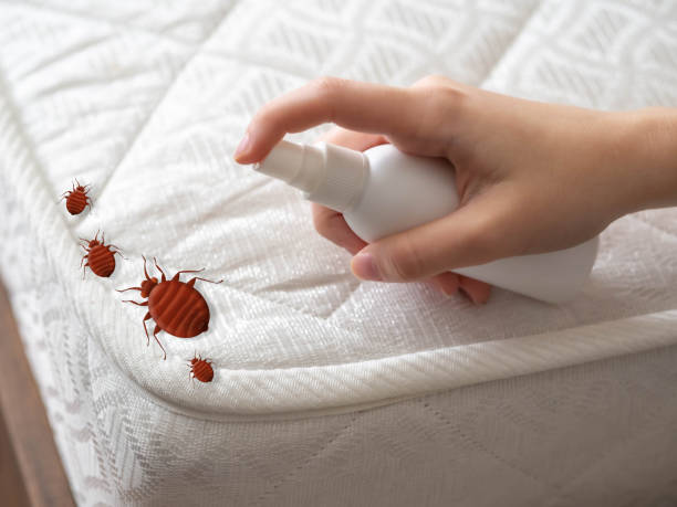 Best Pest Control Near Me  in Rkesburg, PA