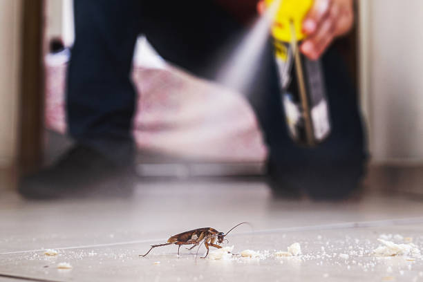 Best Residential Pest Control  in Rkesburg, PA