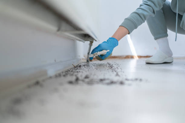 Best Best Pest Control Companies  in Rkesburg, PA